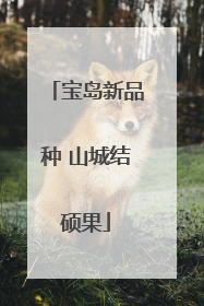 宝岛新品种 山城结硕果