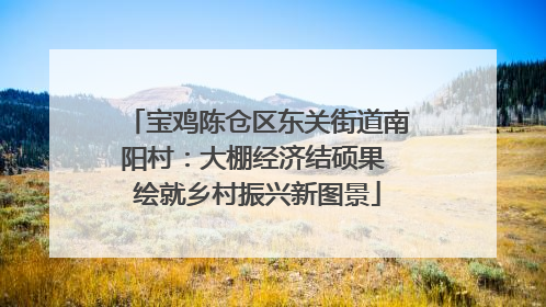 宝鸡陈仓区东关街道南阳村：大棚经济结硕果 绘就乡村振兴新图景