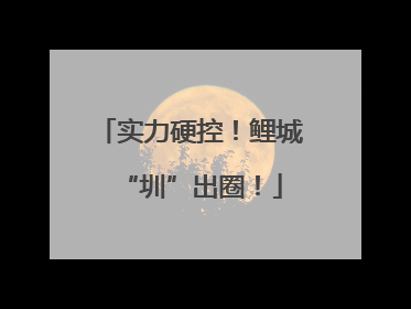 实力硬控！鲤城“圳”出圈！