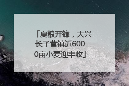 夏粮开镰，大兴长子营镇近6000亩小麦迎丰收