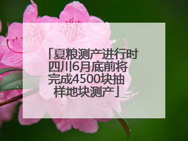 夏粮测产进行时 四川6月底前将完成4500块抽样地块测产