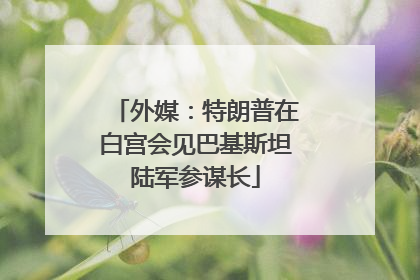 外媒：特朗普在白宫会见巴基斯坦陆军参谋长