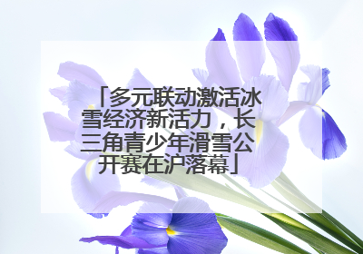 多元联动激活冰雪经济新活力，长三角青少年滑雪公开赛在沪落幕
