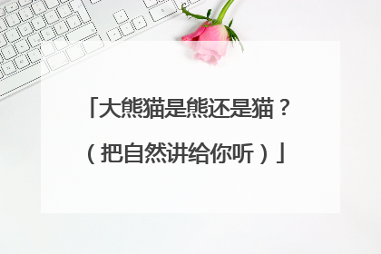 大熊猫是熊还是猫？（把自然讲给你听）