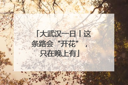 大武汉一日丨这条路会“开花”，只在晚上有