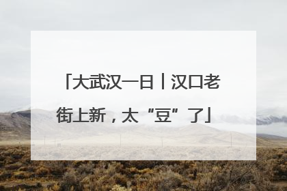 大武汉一日︱汉口老街上新，太“豆”了