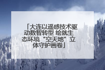 大连以遥感技术驱动数智转型 绘就生态环境“空天地”立体守护画卷