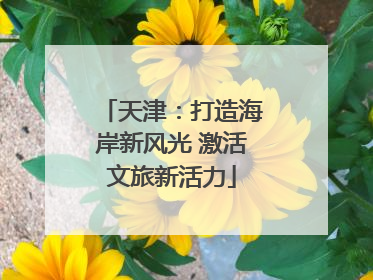 天津：打造海岸新风光 激活文旅新活力