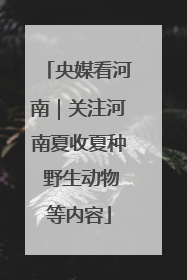 央媒看河南｜关注河南夏收夏种 野生动物等内容