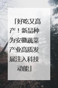 好吃又高产！新品种为安徽蔬菜产业高质发展注入科技动能