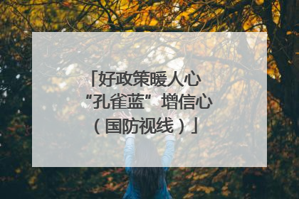 好政策暖人心 “孔雀蓝”增信心（国防视线）