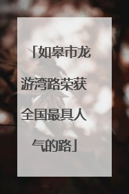 如皋市龙游湾路荣获全国最具人气的路