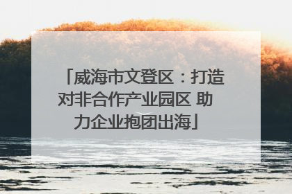 威海市文登区：打造对非合作产业园区 助力企业抱团出海