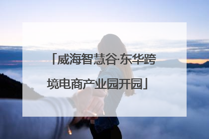 威海智慧谷·东华跨境电商产业园开园
