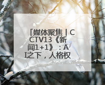 媒体聚焦丨CCTV13《新闻1+1》：AI之下，人格权益如何保护？