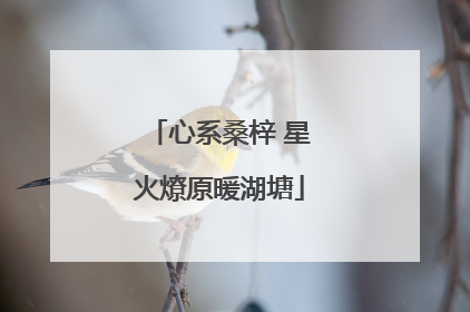 心系桑梓 星火燎原暖湖塘