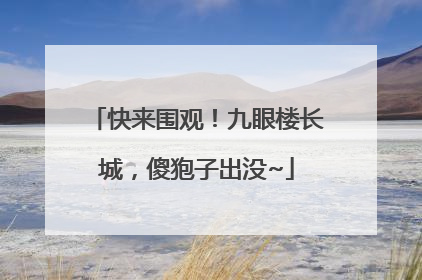 快来围观！九眼楼长城，傻狍子出没~