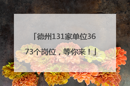 德州131家单位3673个岗位，等你来！
