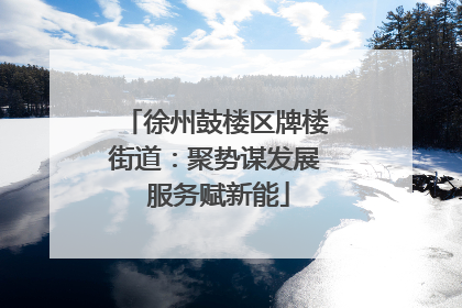 徐州鼓楼区牌楼街道：聚势谋发展 服务赋新能