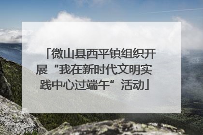 微山县西平镇组织开展“我在新时代文明实践中心过端午”活动