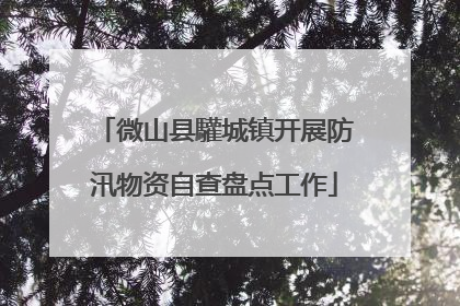 微山县驩城镇开展防汛物资自查盘点工作
