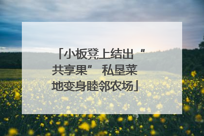 小板凳上结出“共享果” 私垦菜地变身睦邻农场