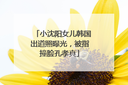 小沈阳女儿韩国出道照曝光，被指撞脸孔孝真