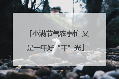 小满节气农事忙 又是一年好“丰”光