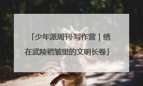 少年派周刊·写作营｜绣在武陵褶皱里的文明长卷
