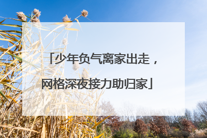 少年负气离家出走，网格深夜接力助归家