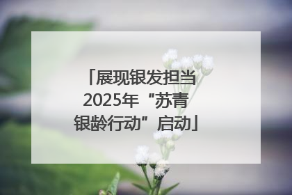展现银发担当 2025年“苏青银龄行动”启动