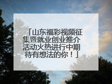 山东福彩视频征集暨就业创业推介活动火热进行中期待有想法的你！