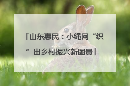 山东惠民：小绳网“织”出乡村振兴新图景