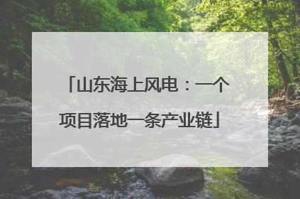 山东海上风电：一个项目落地一条产业链