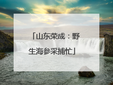 山东荣成：野生海参采捕忙