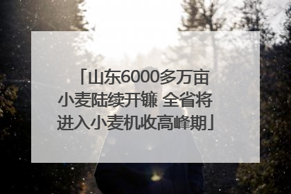 山东6000多万亩小麦陆续开镰 全省将进入小麦机收高峰期