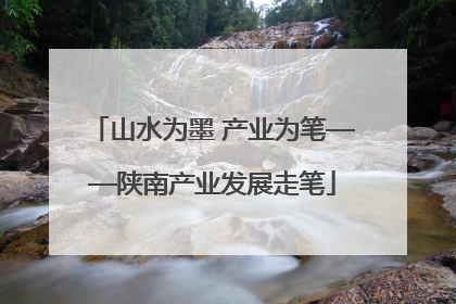 山水为墨 产业为笔——陕南产业发展走笔