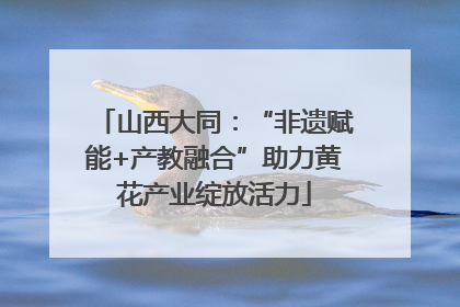 山西大同：“非遗赋能+产教融合”助力黄花产业绽放活力