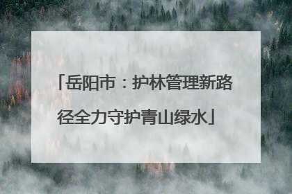 岳阳市：护林管理新路径全力守护青山绿水