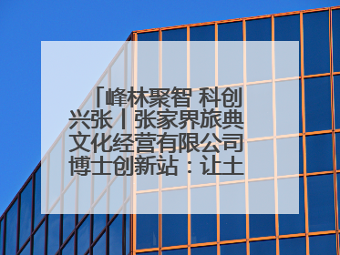 峰林聚智 科创兴张丨张家界旅典文化经营有限公司博士创新站：让土家织锦“智”造出非遗新传奇