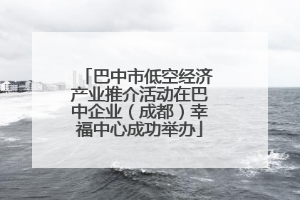 巴中市低空经济产业推介活动在巴中企业（成都）幸福中心成功举办