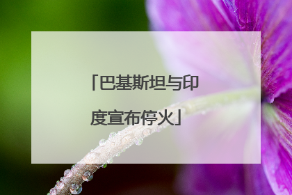 巴基斯坦与印度宣布停火