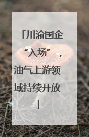 川渝国企“入场”，油气上游领域持续开放