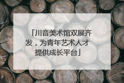 川音美术馆双展齐发，为青年艺术人才提供成长平台