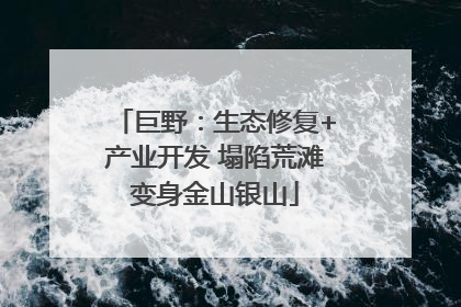 巨野：生态修复+产业开发 塌陷荒滩变身金山银山