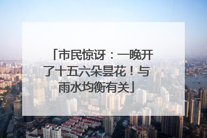 市民惊讶：一晚开了十五六朵昙花！与雨水均衡有关