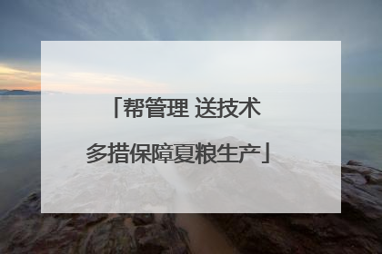帮管理 送技术 多措保障夏粮生产