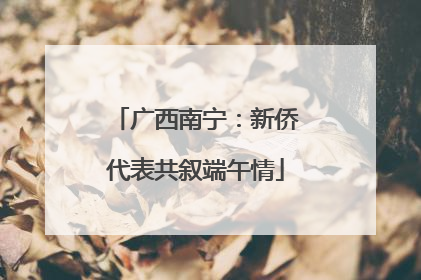 广西南宁：新侨代表共叙端午情