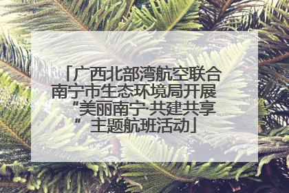 广西北部湾航空联合南宁市生态环境局开展“美丽南宁·共建共享”主题航班活动