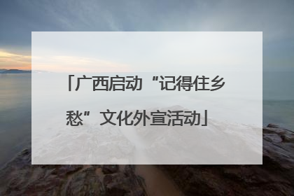 广西启动“记得住乡愁”文化外宣活动